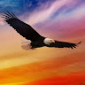 Meet your Posher, Terri